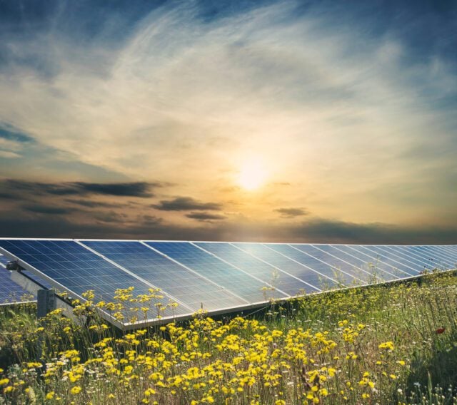 solar panels under a sunrise